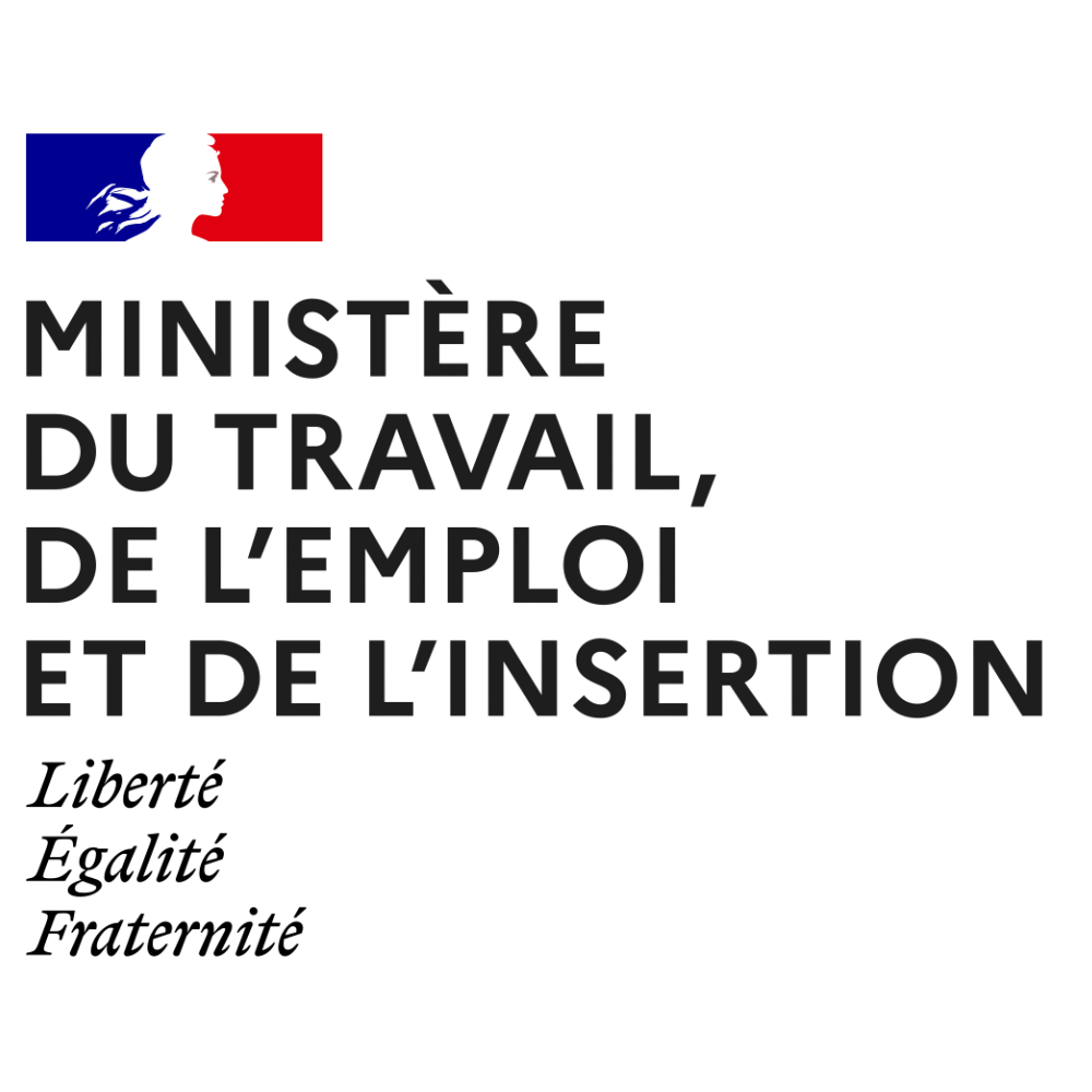 MINISTÈRE DU TRAVAIL, DE L'EMPLOI ET DE L'INSERTION